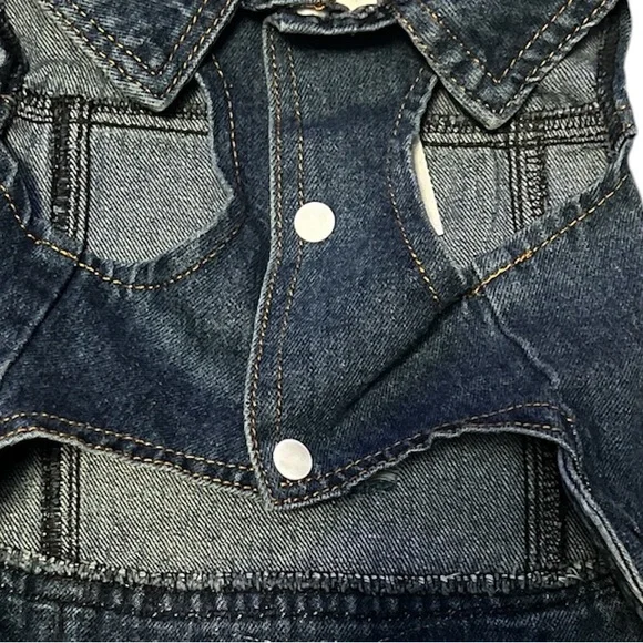 Flower Pup Distressed Guns and Roses Denim Jacket - Picture 4 of 4